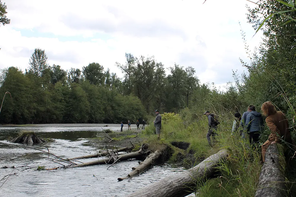 Smcf Whatcom County Washington