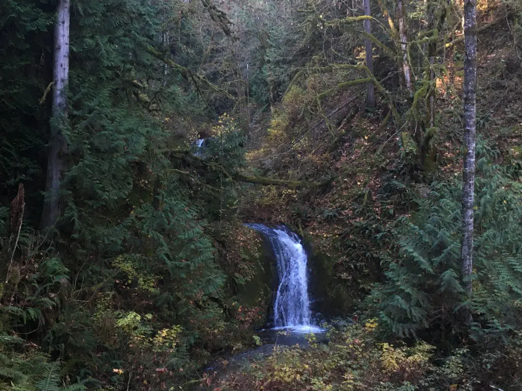 Standard Creek Falls 2